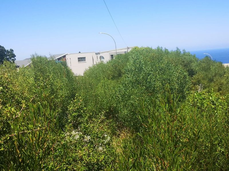 Vacant Land Residential For Sale in Dana Bay - Photo 9