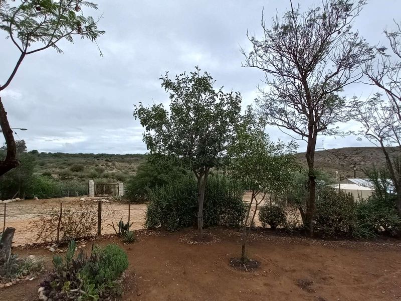 House For Sale in Calitzdorp Central - Photo 7