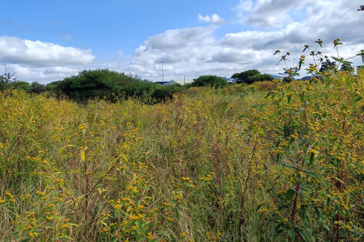 Industrial For Sale in Magna Via Industrial - Photo 3