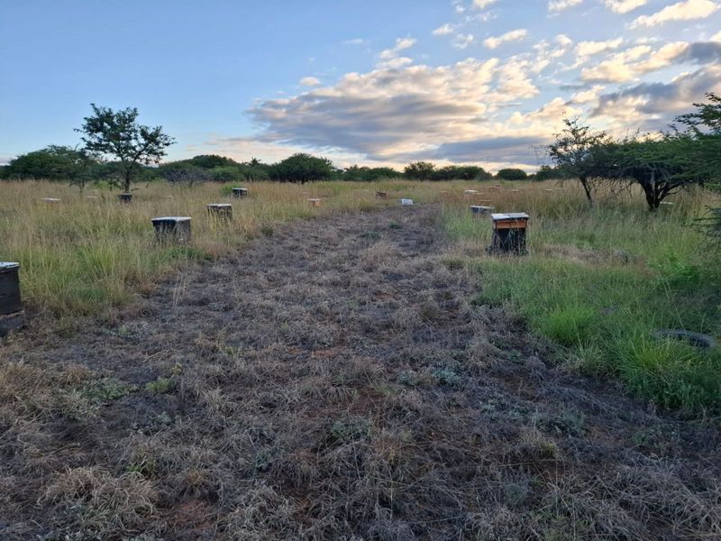 Farm For Sale in Myngenoegen AH - Photo 6