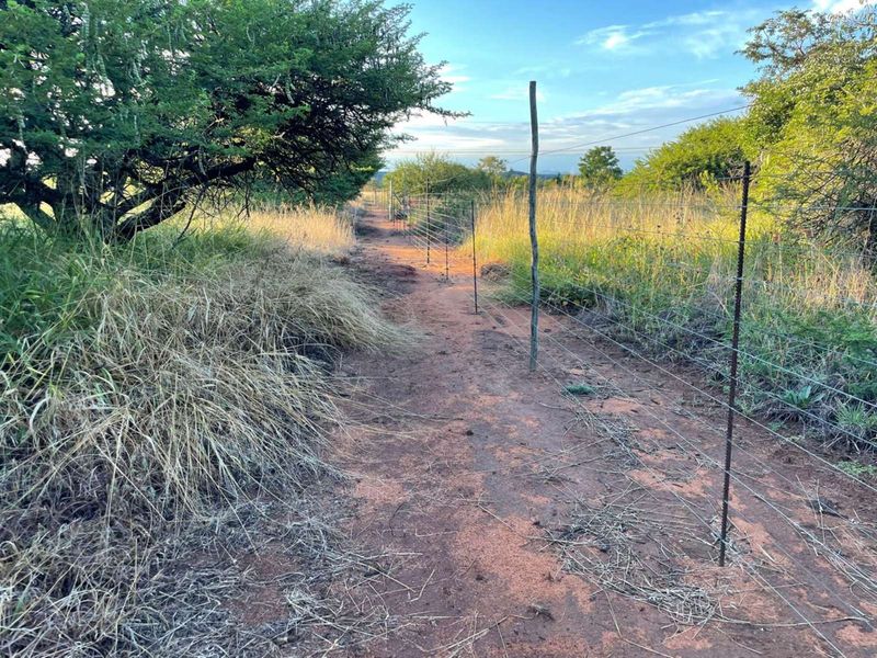 Farm For Sale in Myngenoegen AH - Photo 8