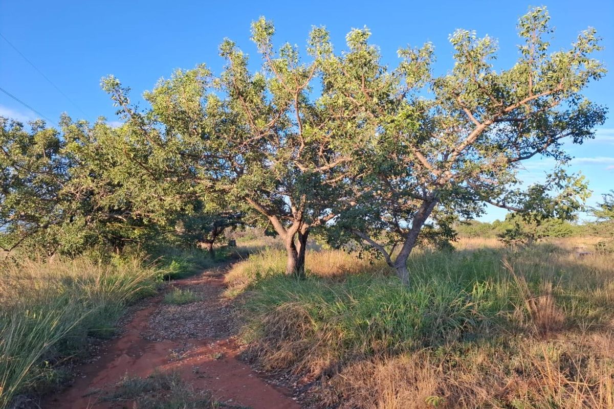 Farm For Sale in Myngenoegen AH - Photo 5