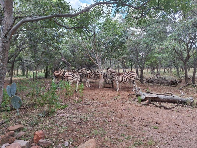 Vacant Land Residential For Sale in Koro Creek Golf Estate - Photo 2