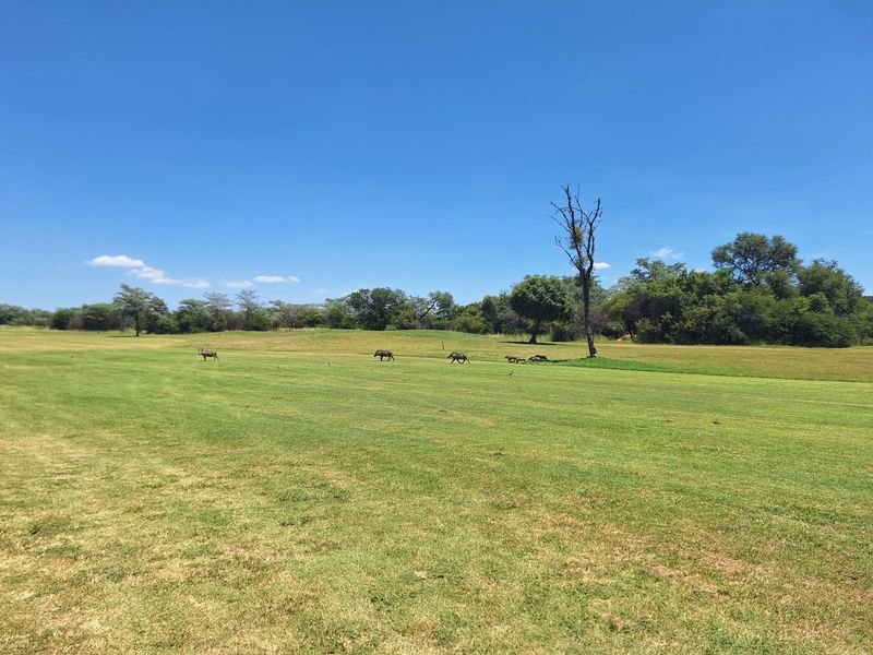 Vacant Land Residential For Sale in Koro Creek Golf Estate - Photo 4