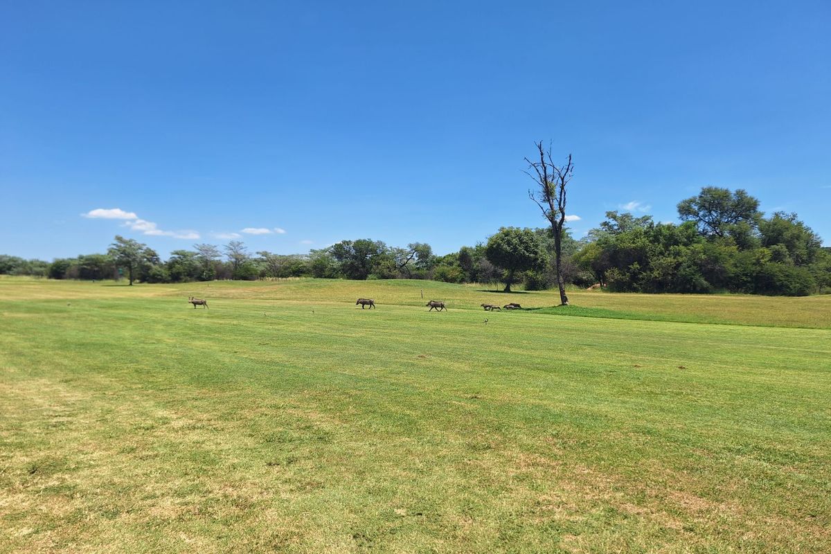 Vacant Land Residential For Sale in Koro Creek Golf Estate - Photo 4