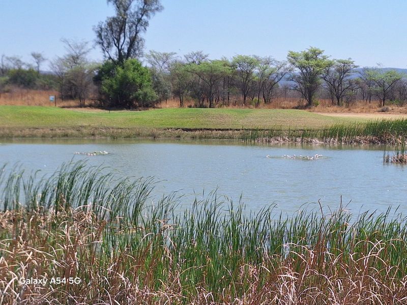 Vacant Land Residential For Sale in Koro Creek Golf Estate - Photo 5