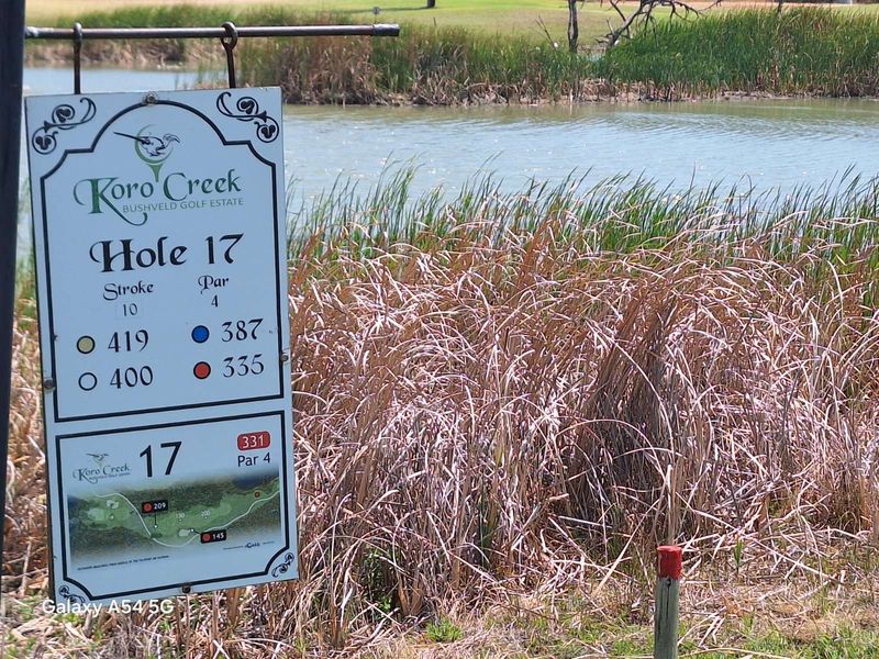 Vacant Land Residential For Sale in Koro Creek Golf Estate - Photo 6