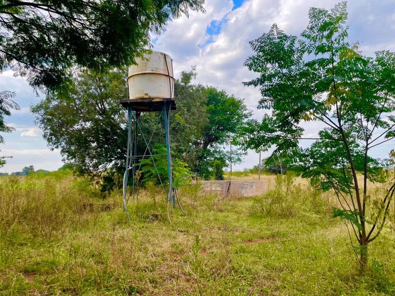 Farm For Sale in Baskoppies AH - Photo 4