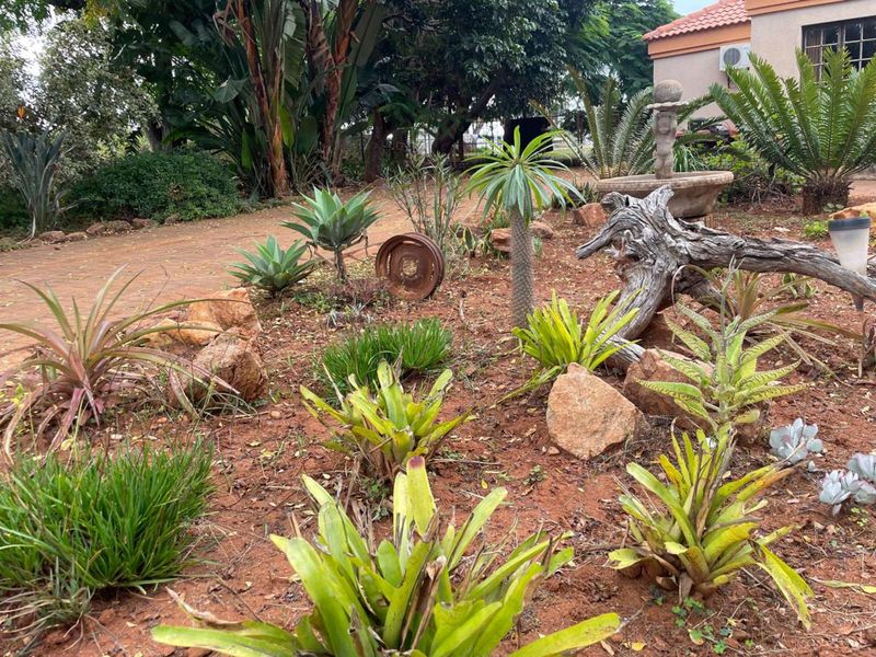 Farm For Sale in Baskoppies AH - Photo 7