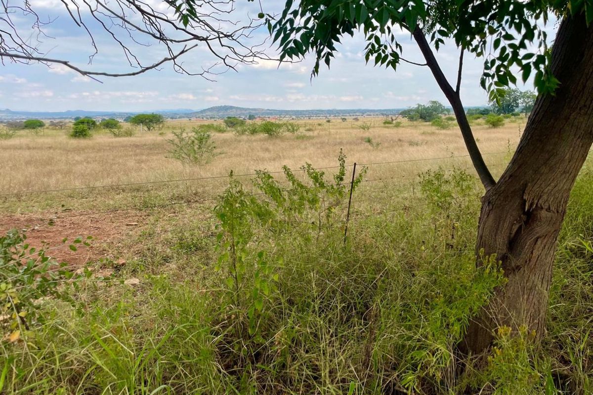 Farm For Sale in Baskoppies AH - Photo 5