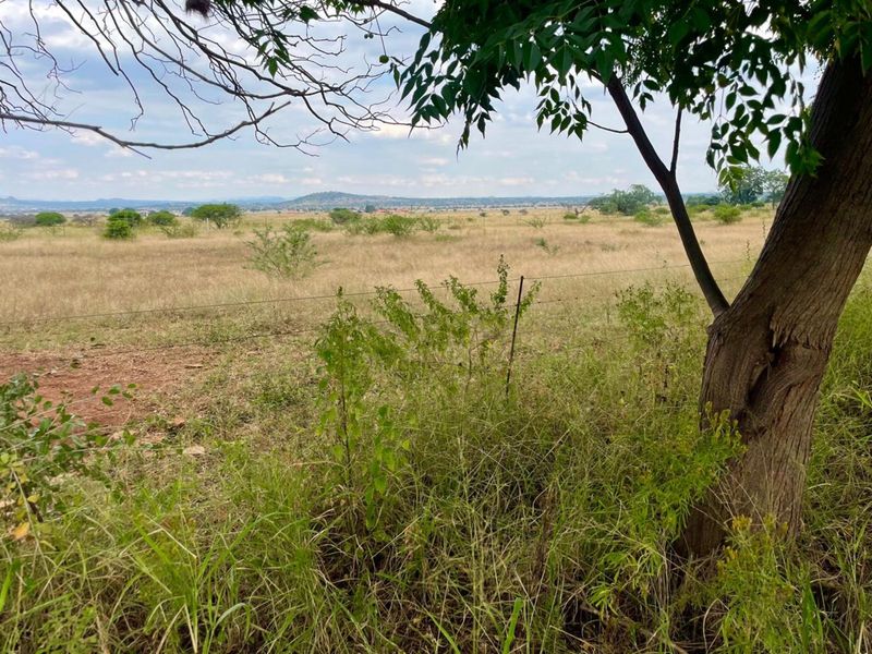 Farm For Sale in Baskoppies AH - Photo 5