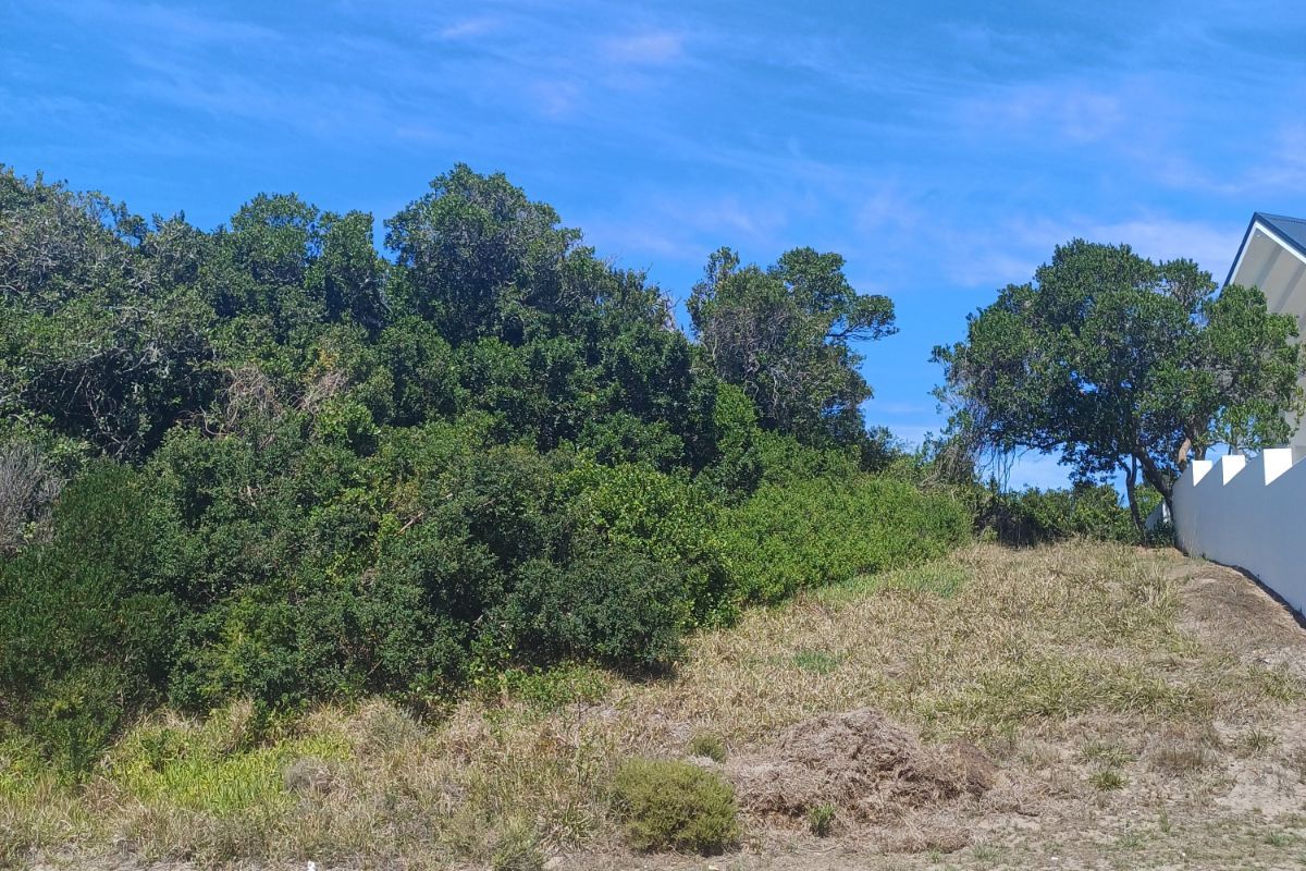 Vacant Land Residential For Sale in St Francis Links - Photo 3