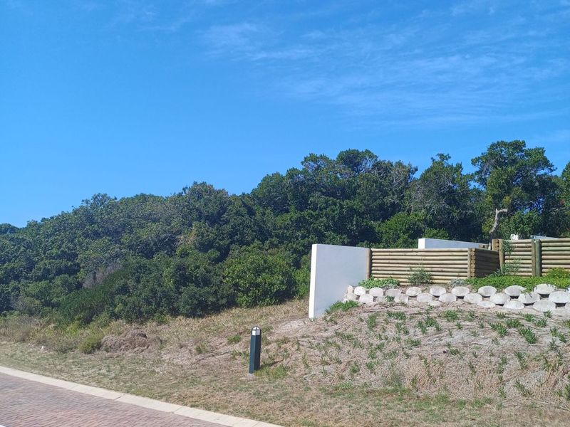 Vacant Land Residential For Sale in St Francis Links - Photo 2