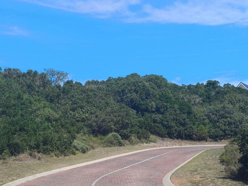 Vacant Land Residential For Sale in St Francis Links - Photo 9