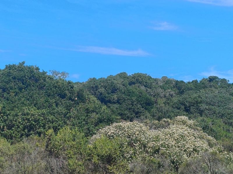 Vacant Land Residential For Sale in St Francis Links - Photo 8