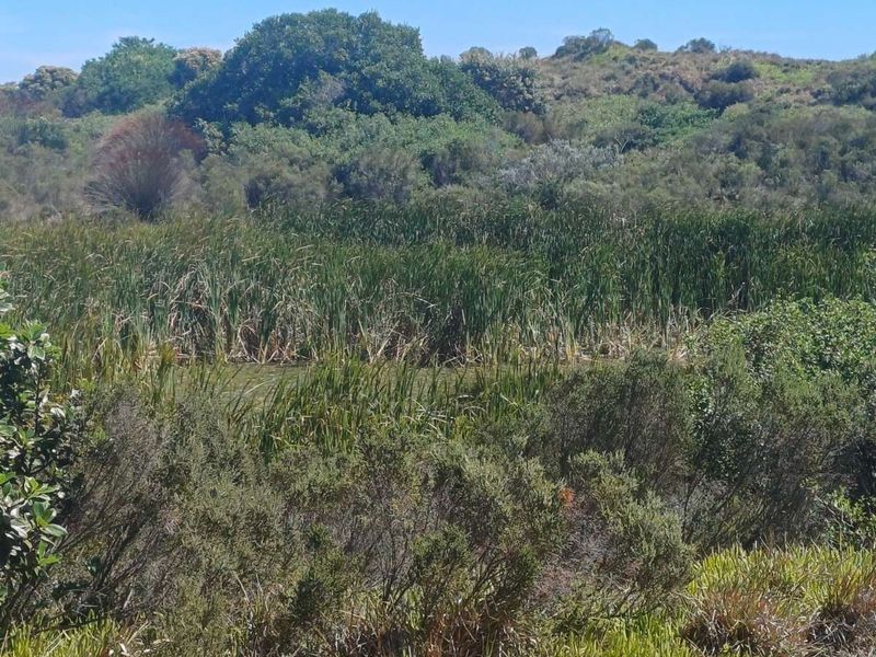 Vacant Land Residential For Sale in St Francis Links - Photo 7