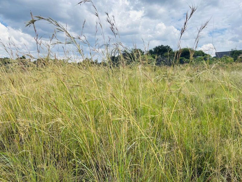 Vacant Land Residential For Sale in Zebula Golf Estate - Photo 4