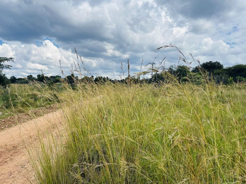 Vacant Land Residential For Sale in Zebula Golf Estate - Photo 5