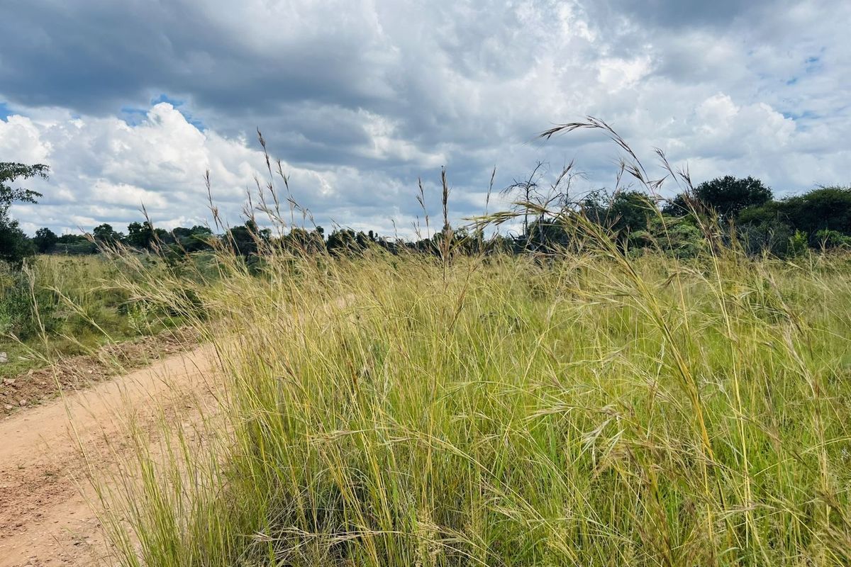Vacant Land Residential For Sale in Zebula Golf Estate - Photo 5