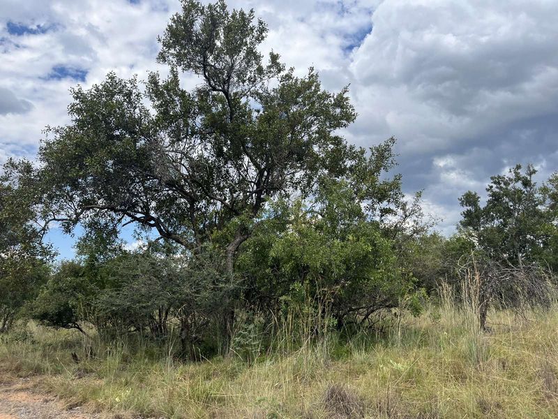 Vacant Land Residential For Sale in Zebula Golf Estate - Photo 8