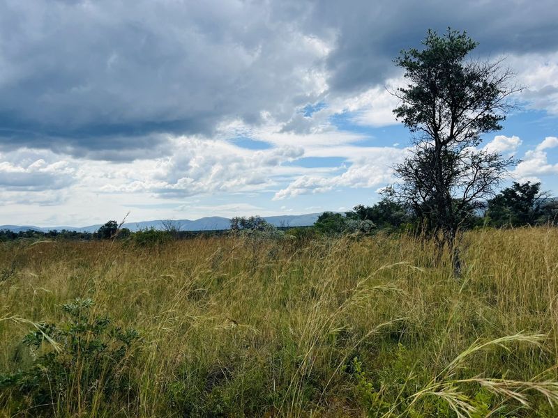 Vacant Land Residential For Sale in Zebula Golf Estate - Photo 7