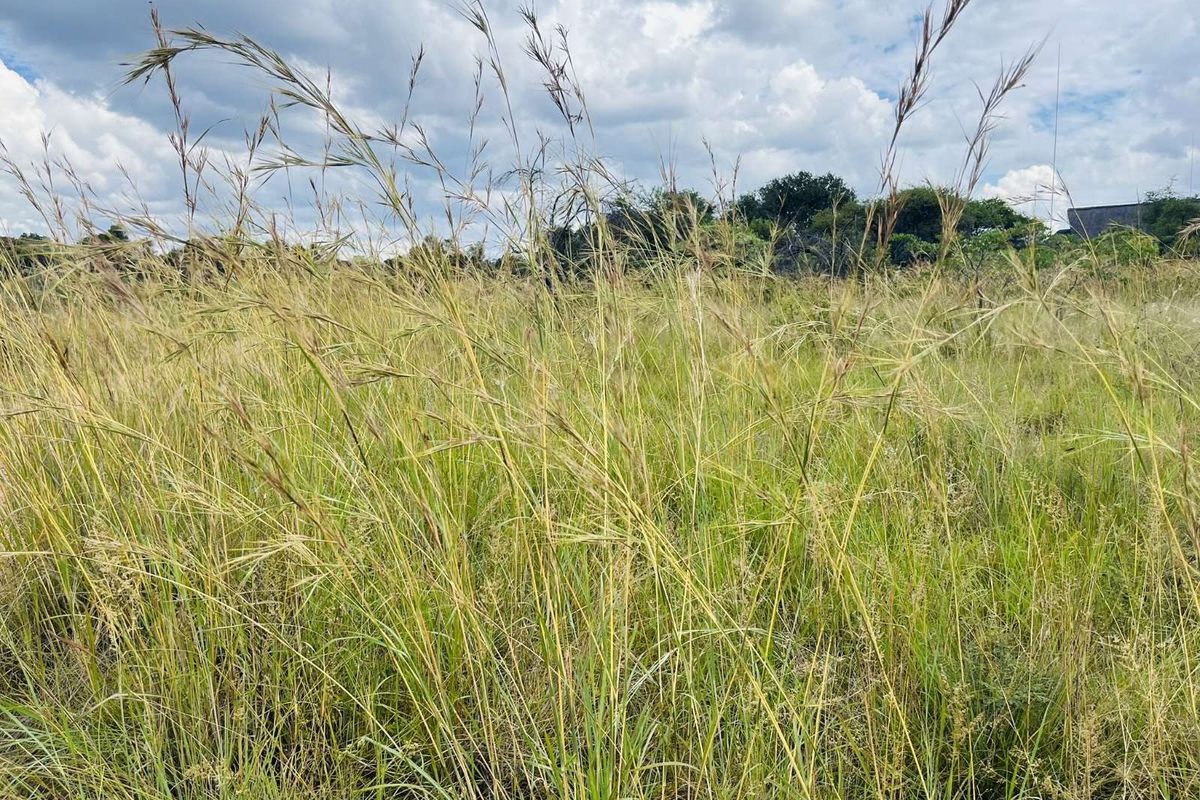 Vacant Land Residential For Sale in Zebula Golf Estate - Photo 4