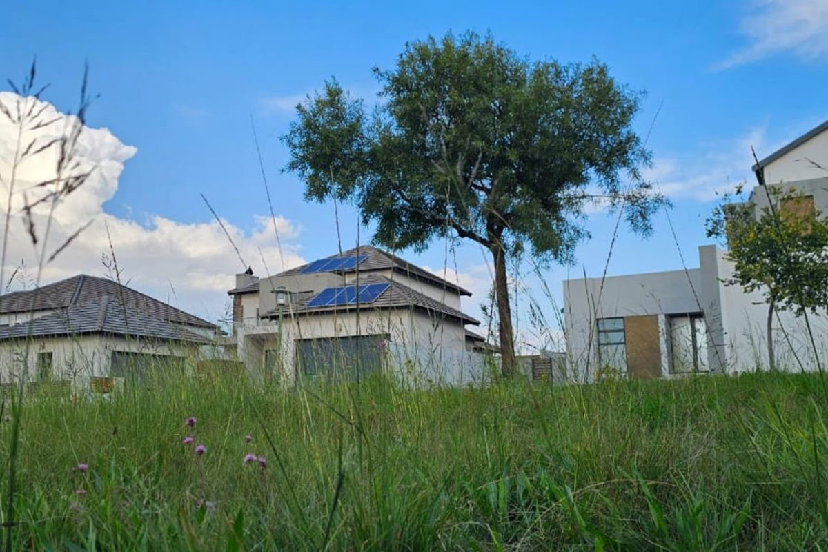 Vacant Land Residential For Sale in The Hills Game Reserve Estate - Photo 3