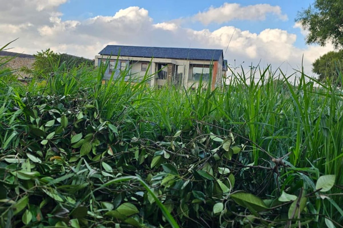 Vacant Land Residential For Sale in The Hills Game Reserve Estate - Photo 5