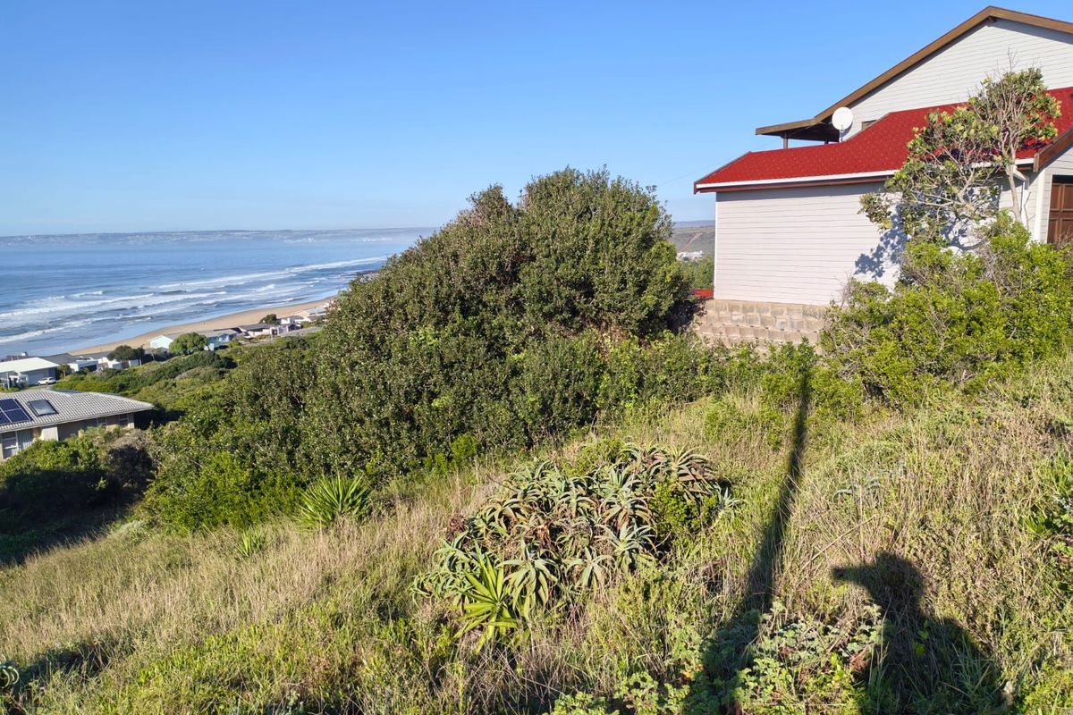 Vacant Land Residential For Sale in Reebok - Photo 5