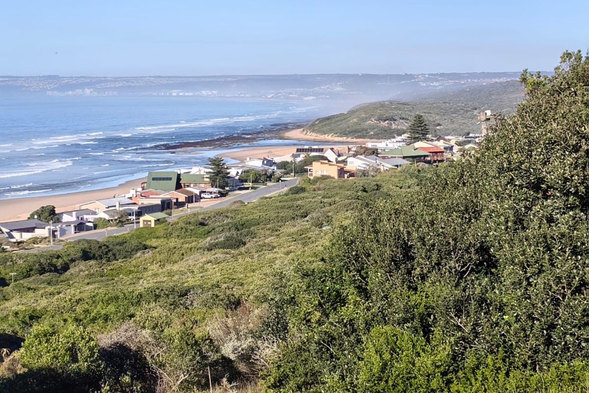 Vacant Land Residential For Sale in Reebok - Photo 3