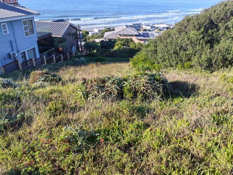 Vacant Land Residential For Sale in Reebok - Photo 6