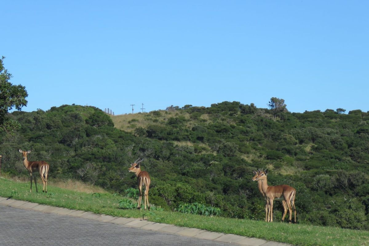Vacant Land Residential For Sale in Khamanga Bay - Photo 5