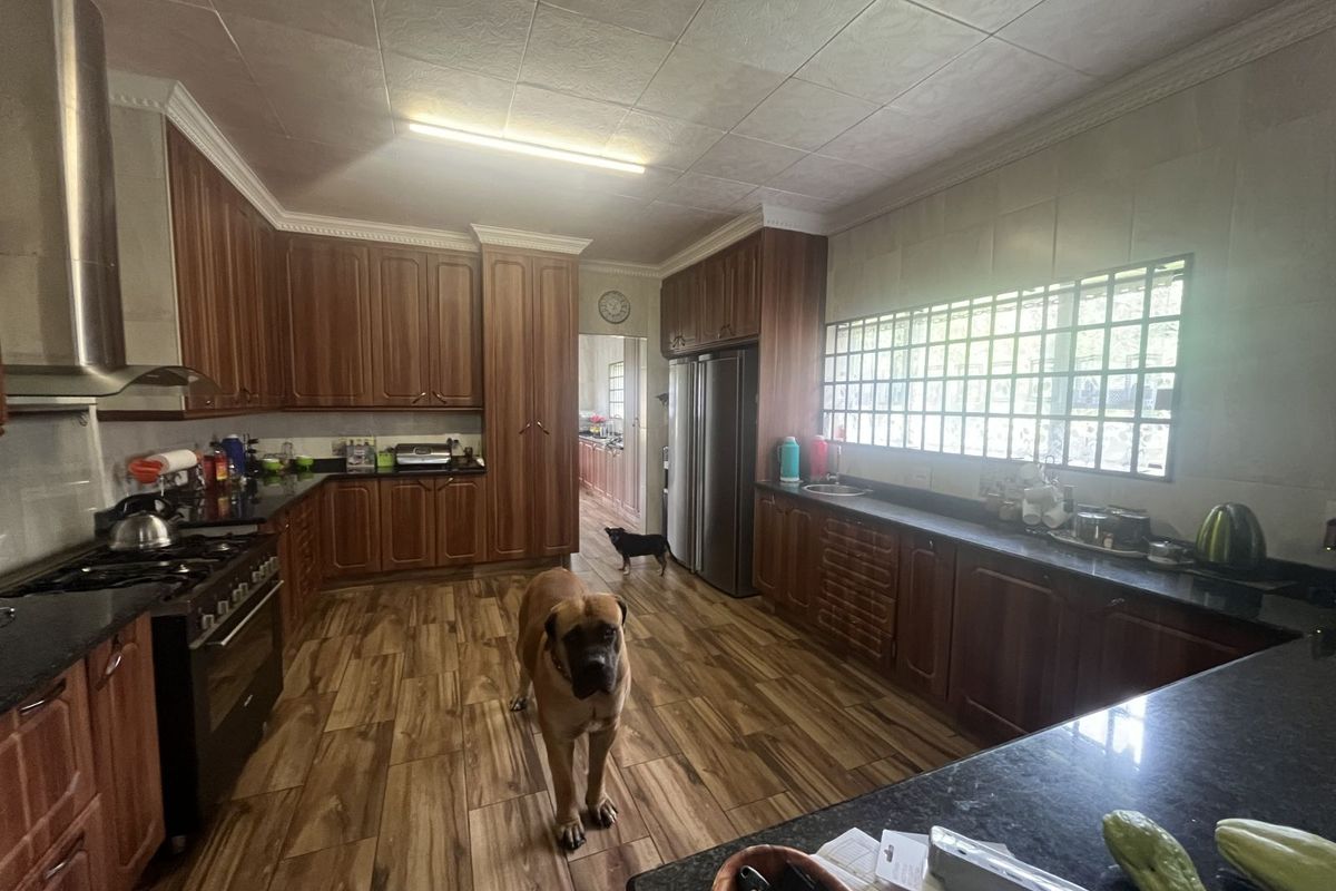 Spacious kitchen featuring dark wood cabinetry, granite countertops, a built-in gas stove with extractor fan, and wood-look tiled flooring.