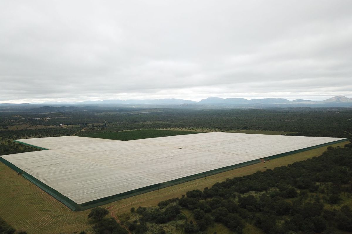 Farm For Sale in Polokwane Rural - Photo 4