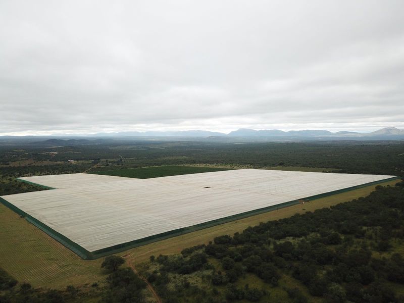 Farm For Sale in Polokwane Rural - Photo 4