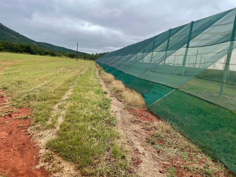 Farm For Sale in Polokwane Rural - Photo 9