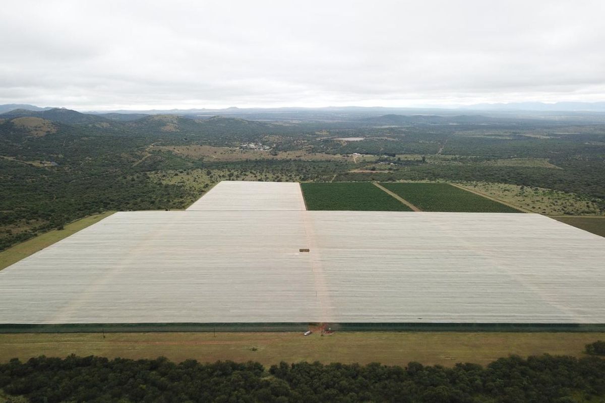 Farm For Sale in Polokwane Rural - Photo 2