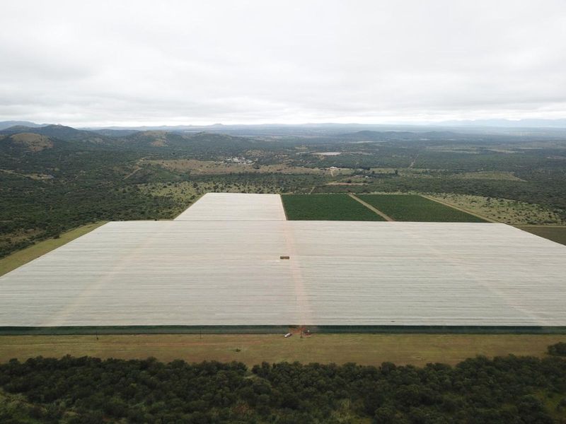 Farm For Sale in Polokwane Rural - Photo 2