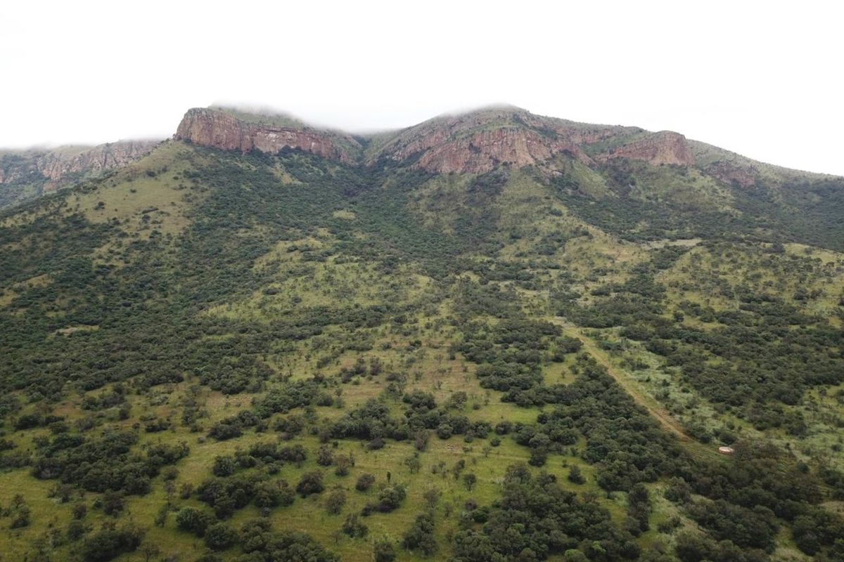 Farm For Sale in Polokwane Rural - Photo 3