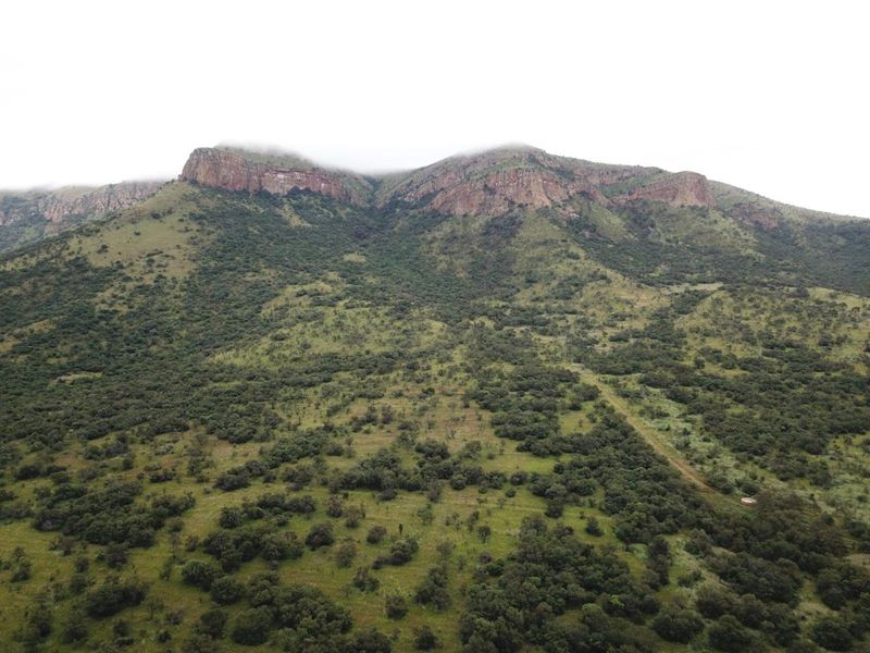 Farm For Sale in Polokwane Rural - Photo 3