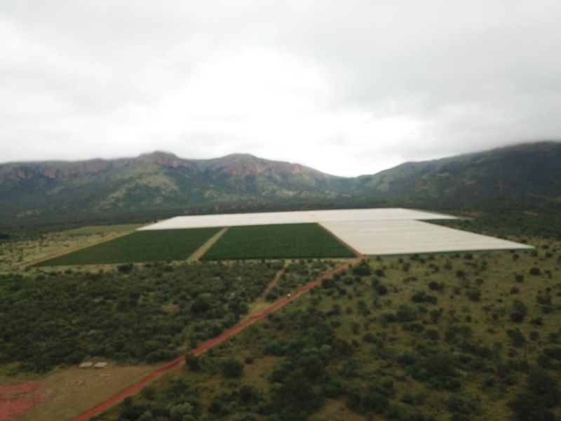 Farm For Sale in Polokwane Rural - Photo 6