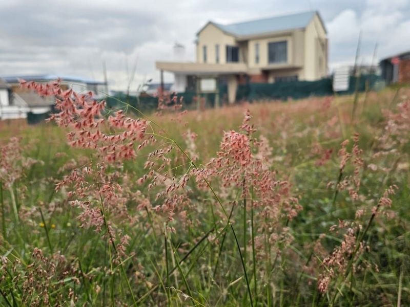 Vacant Land Residential For Sale in The Hills Game Reserve Estate - Photo 8