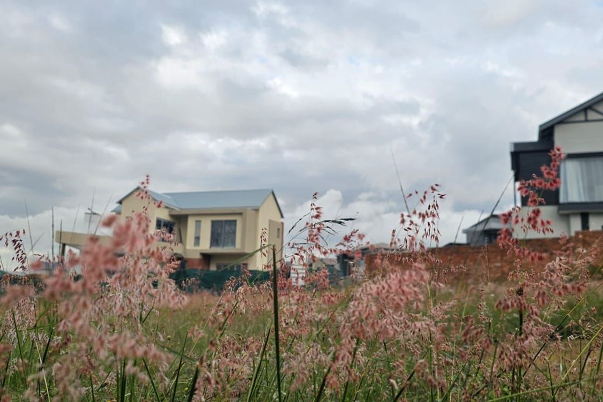 Vacant Land Residential For Sale in The Hills Game Reserve Estate - Photo 2