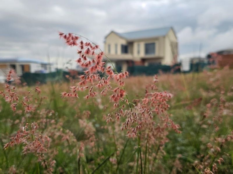 Vacant Land Residential For Sale in The Hills Game Reserve Estate - Photo 3