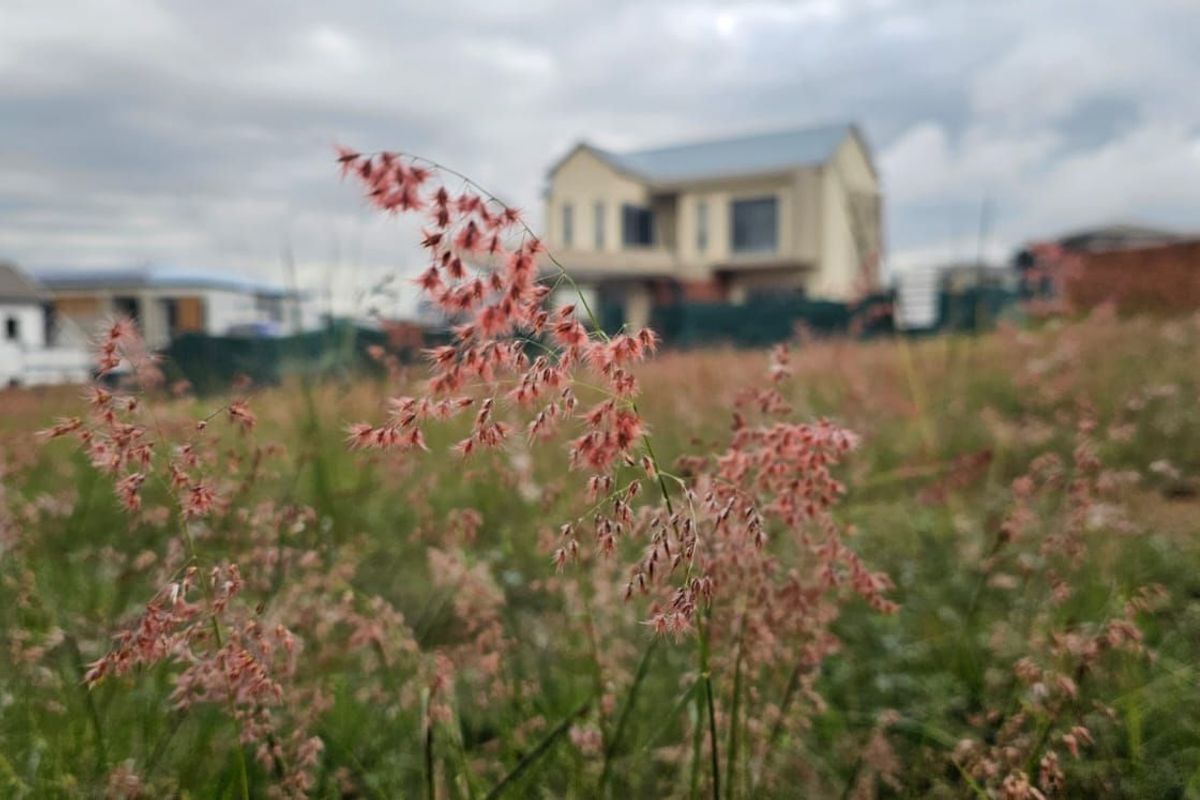 Vacant Land Residential For Sale in The Hills Game Reserve Estate - Photo 3