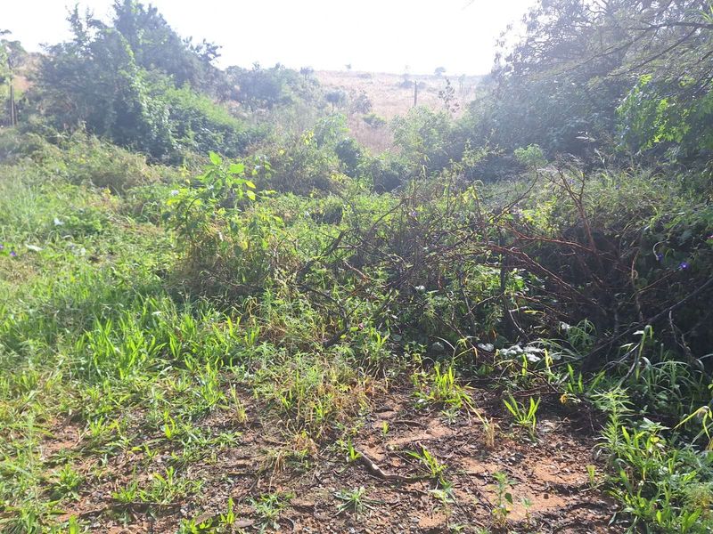 Vacant Land Residential For Sale in Cullinan Central - Photo 3