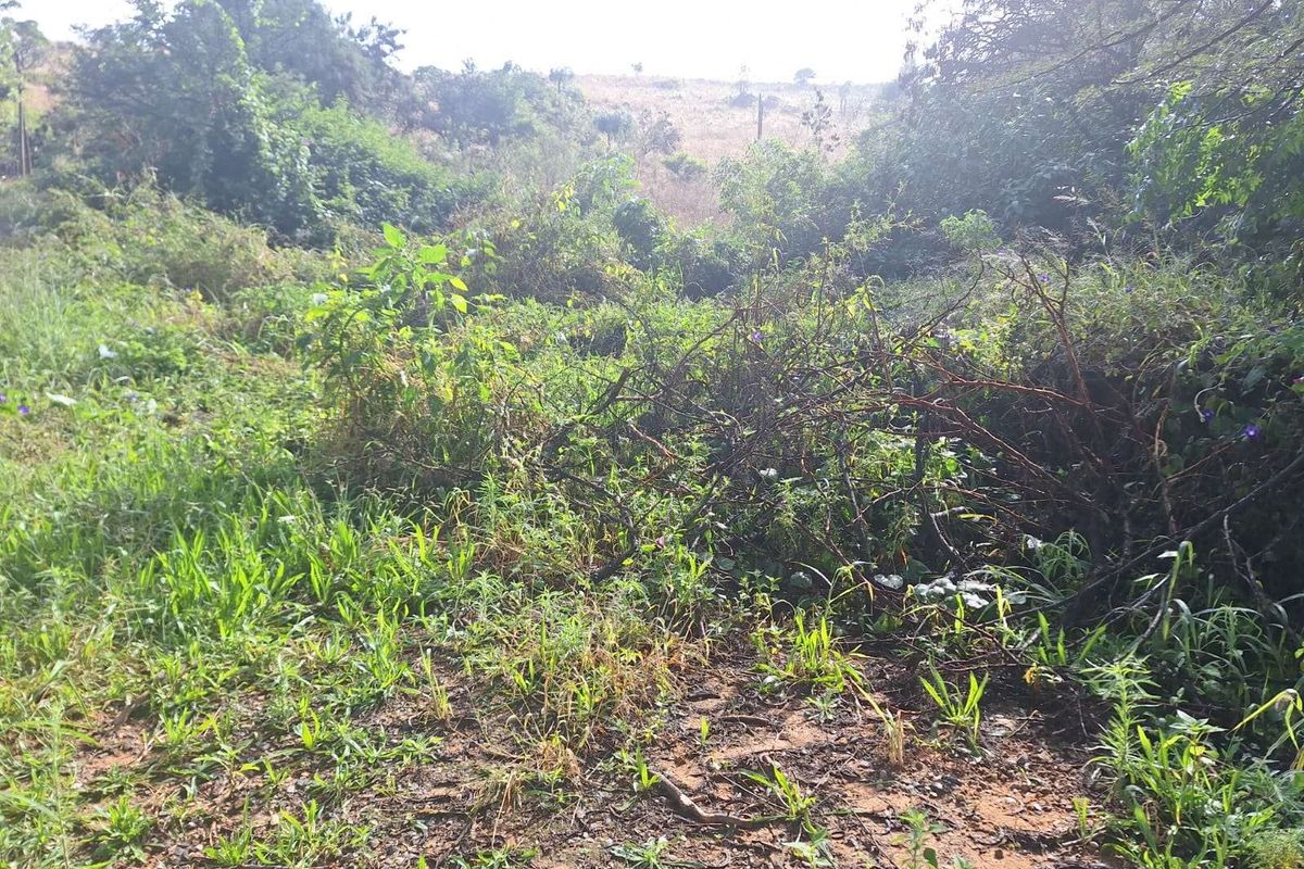 Vacant Land Residential For Sale in Cullinan Central - Photo 3