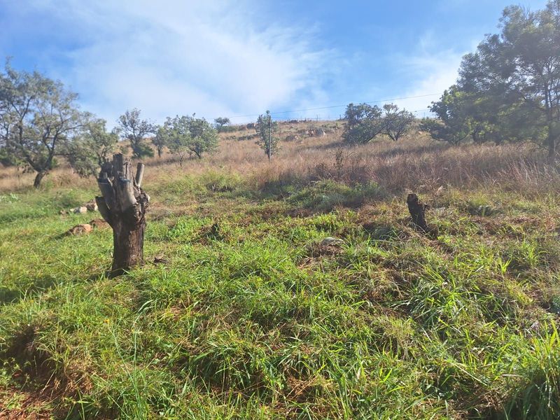 Vacant Land Residential For Sale in Cullinan Central - Photo 5