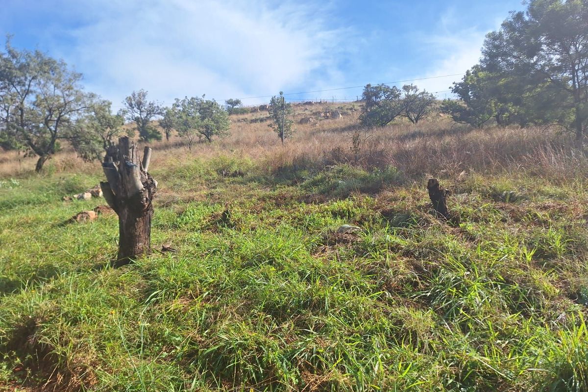 Vacant Land Residential For Sale in Cullinan Central - Photo 5