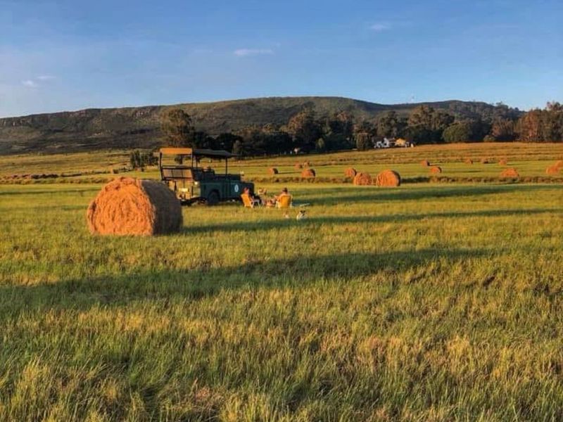 Farm For Sale in Volksrust Central - Photo 8